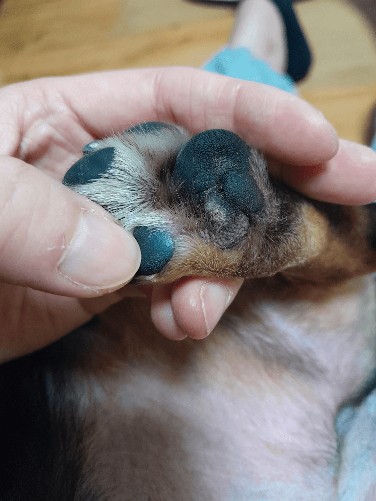 1번 째 사진