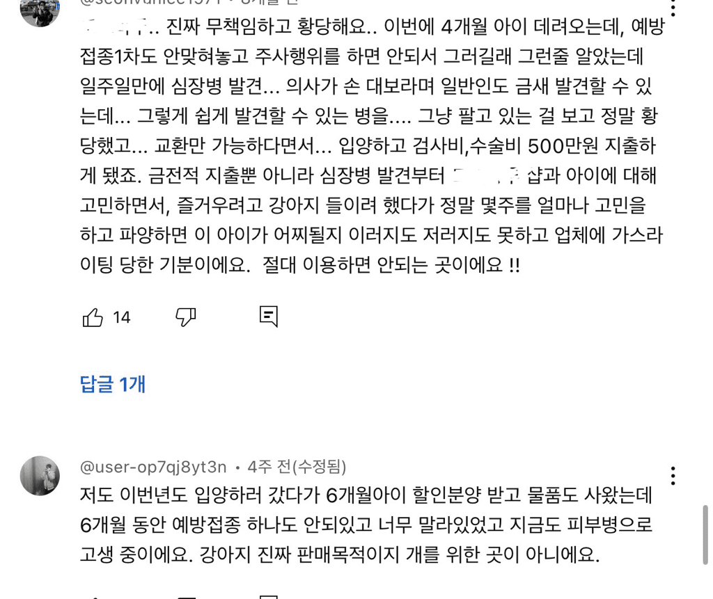 3번 째 사진