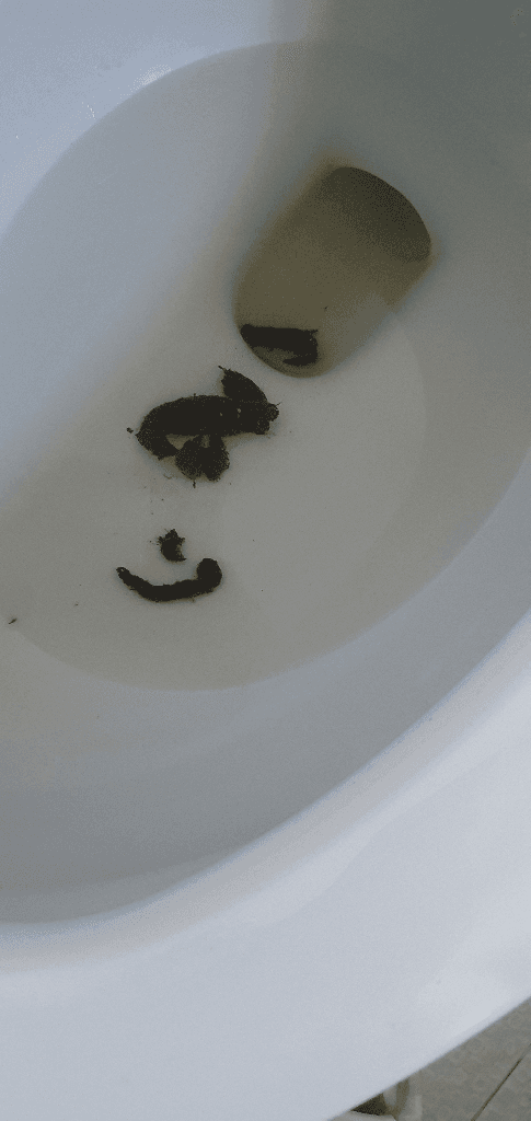 2번 째 사진