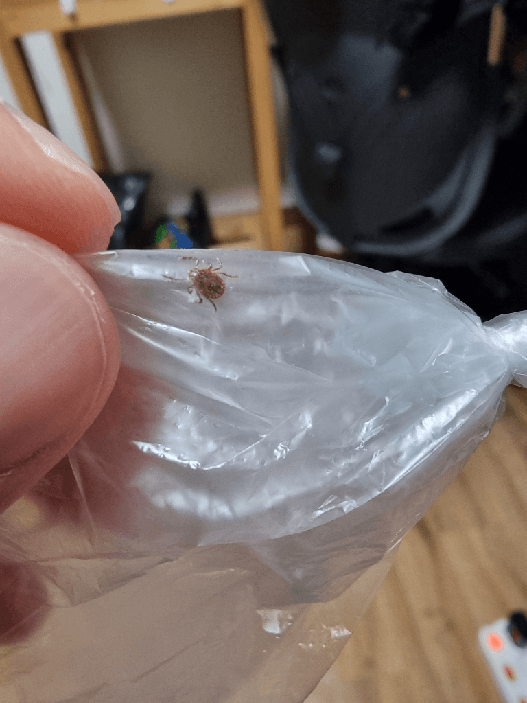 2번 째 사진