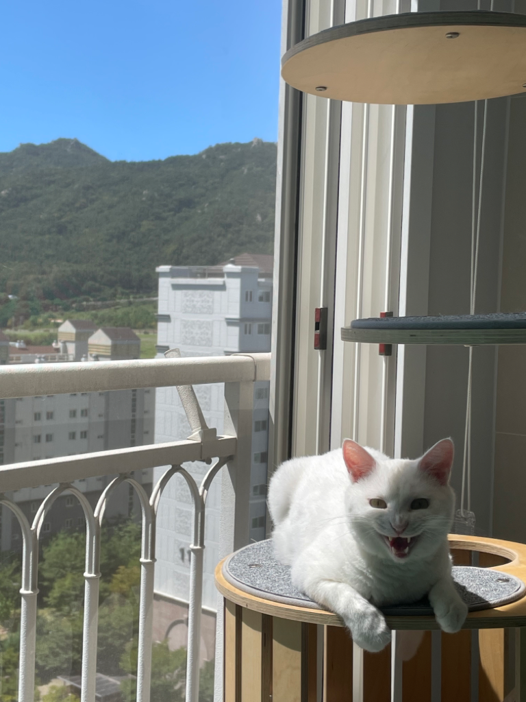1번 째 사진