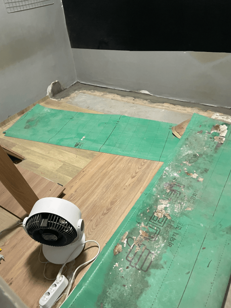 12번 째 사진