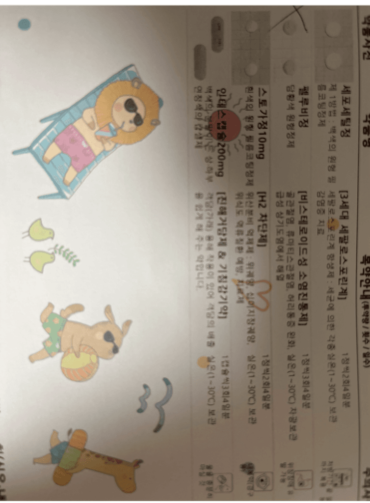 1번 째 사진