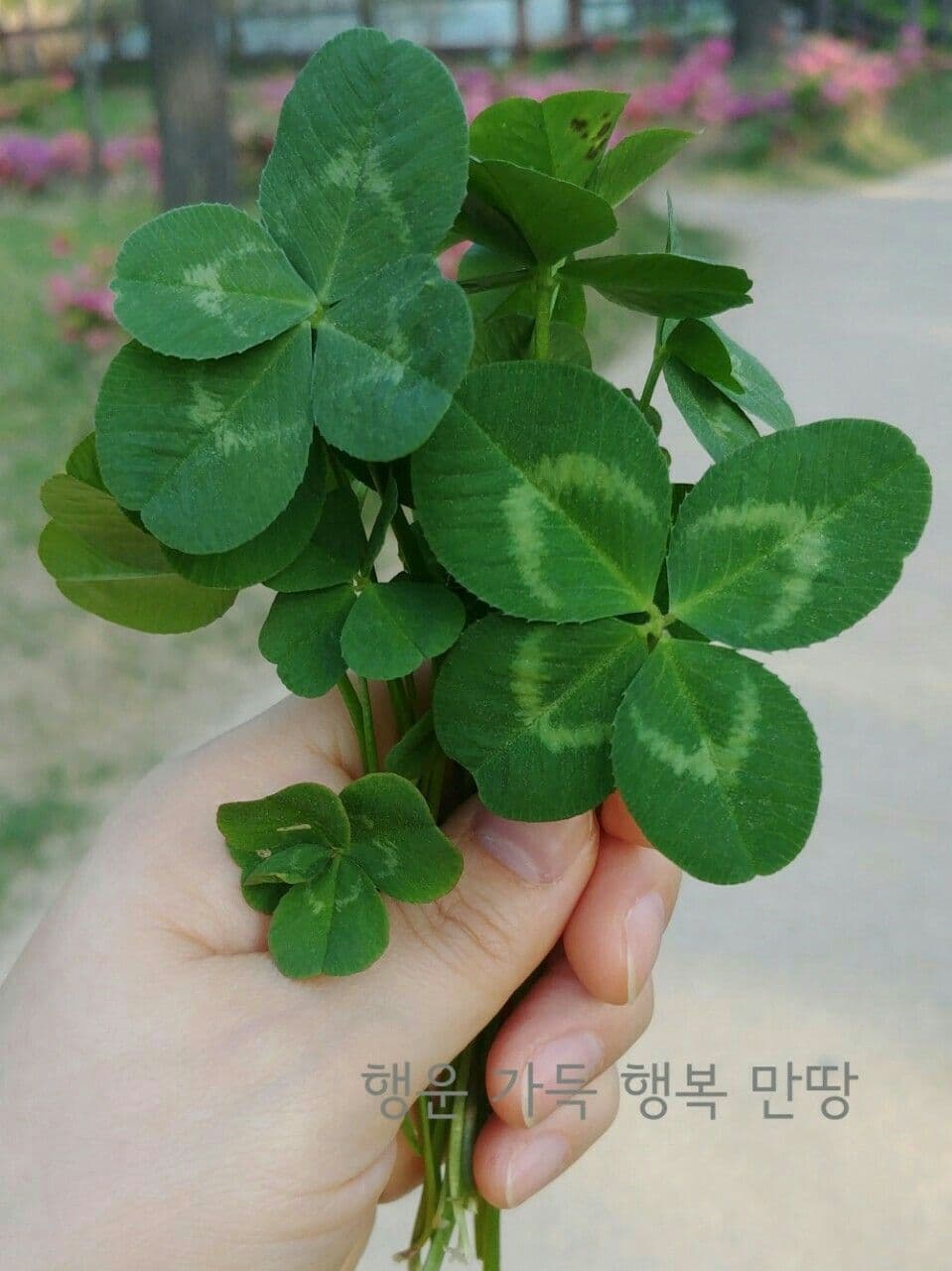 1번 째 사진