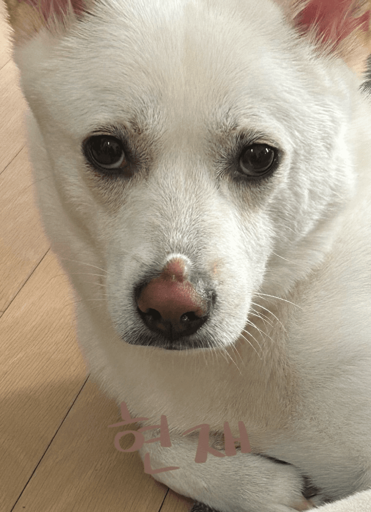 3번 째 사진
