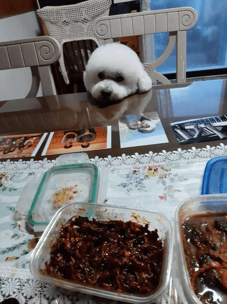 1번 째 사진