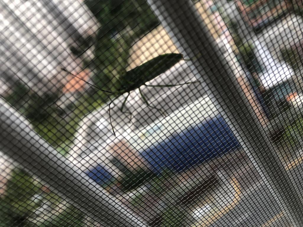 2번 째 사진