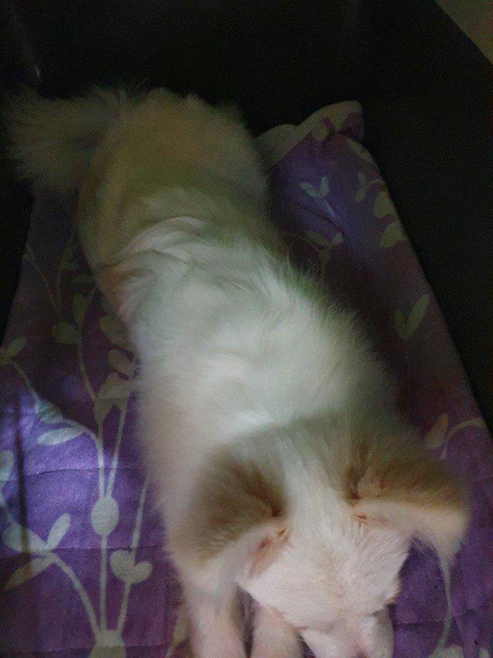 3번 째 사진