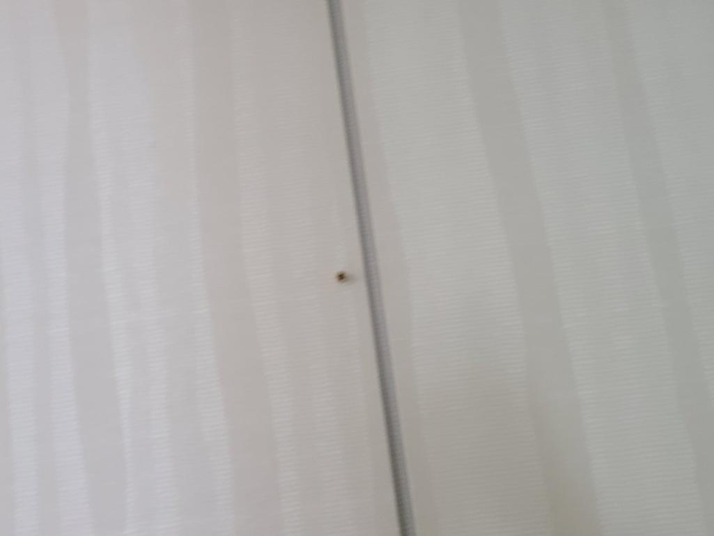 4번 째 사진