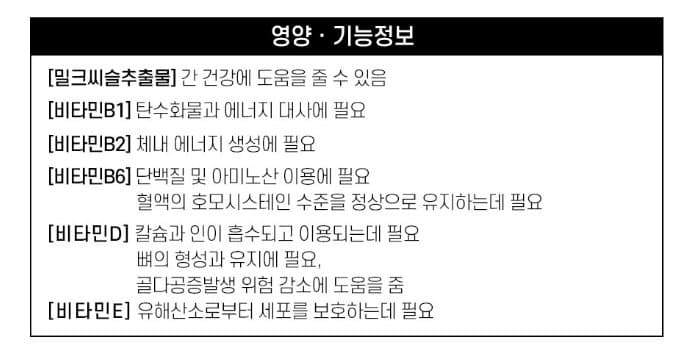 6번 째 사진