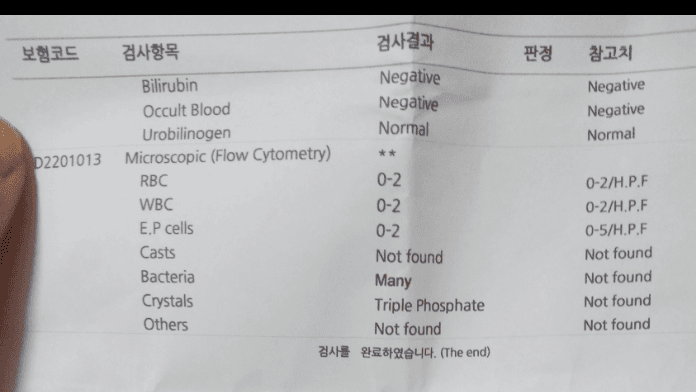 2번 째 사진