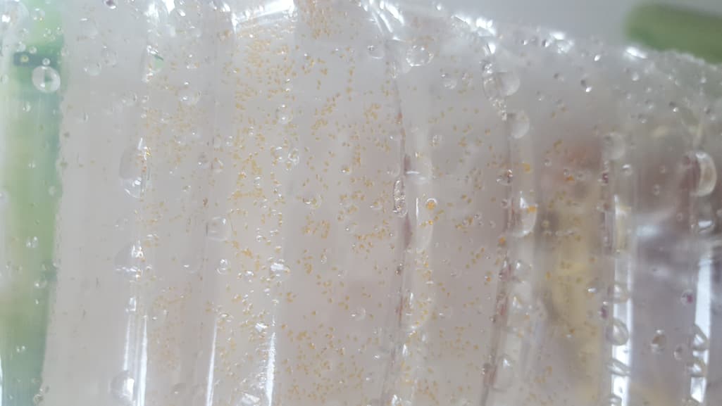 2번 째 사진