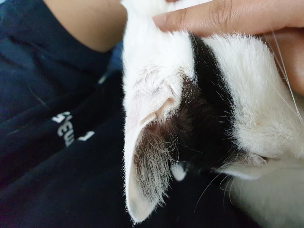 2번 째 사진