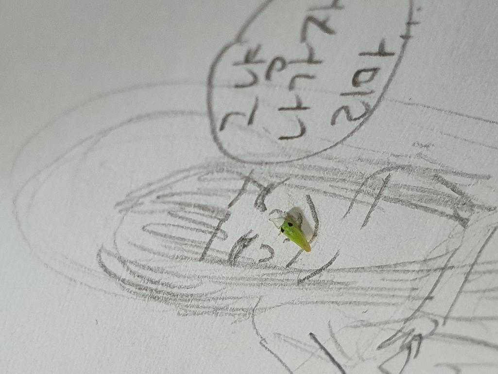 2번 째 사진