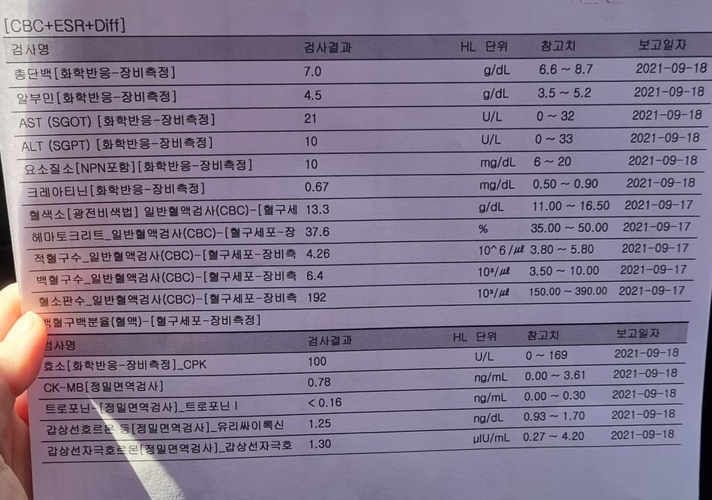 3번 째 사진