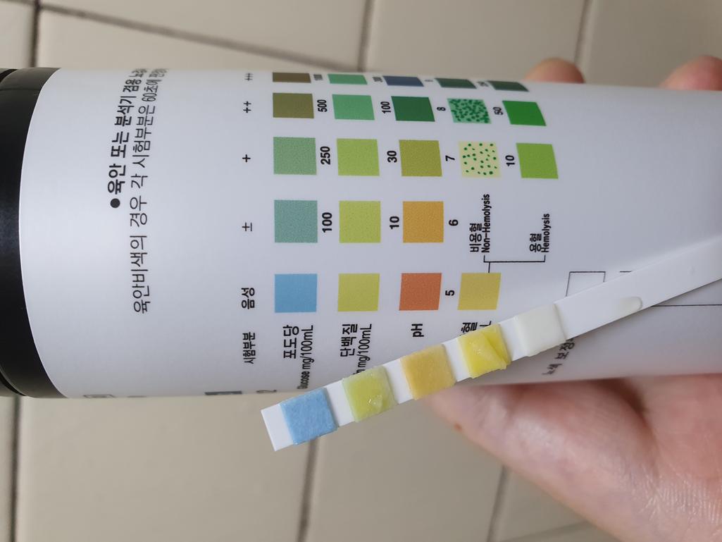 2번 째 사진