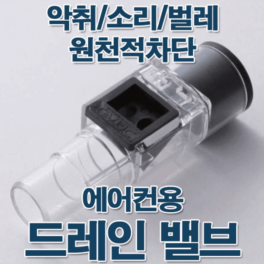 3번 째 사진