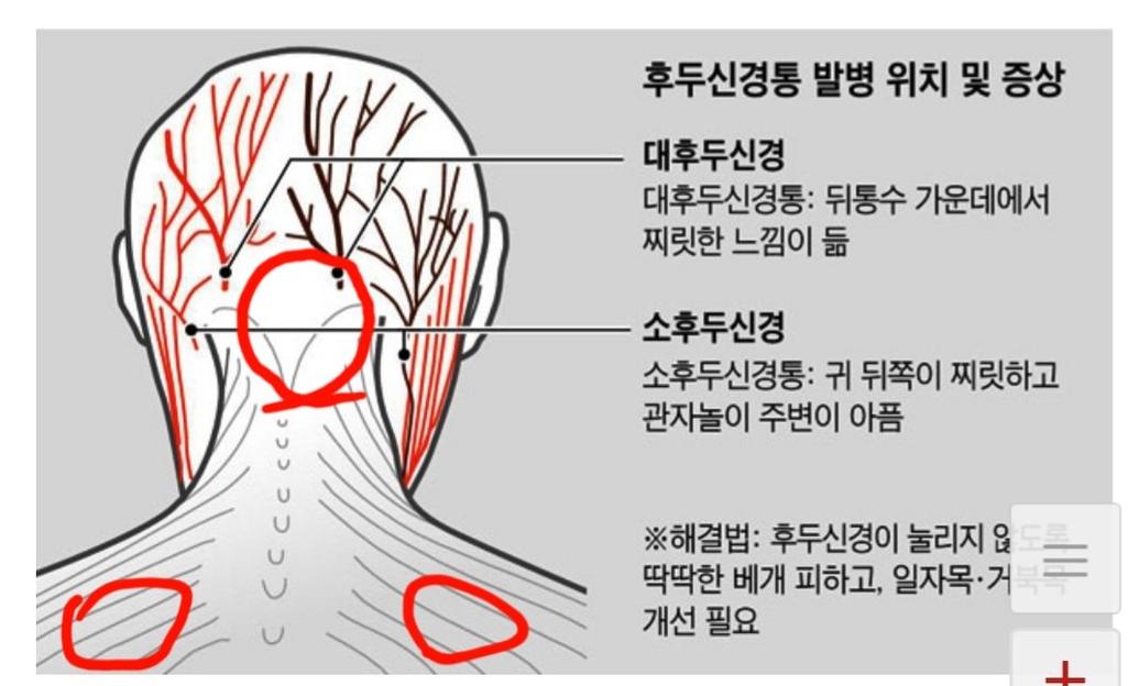 2번 째 사진