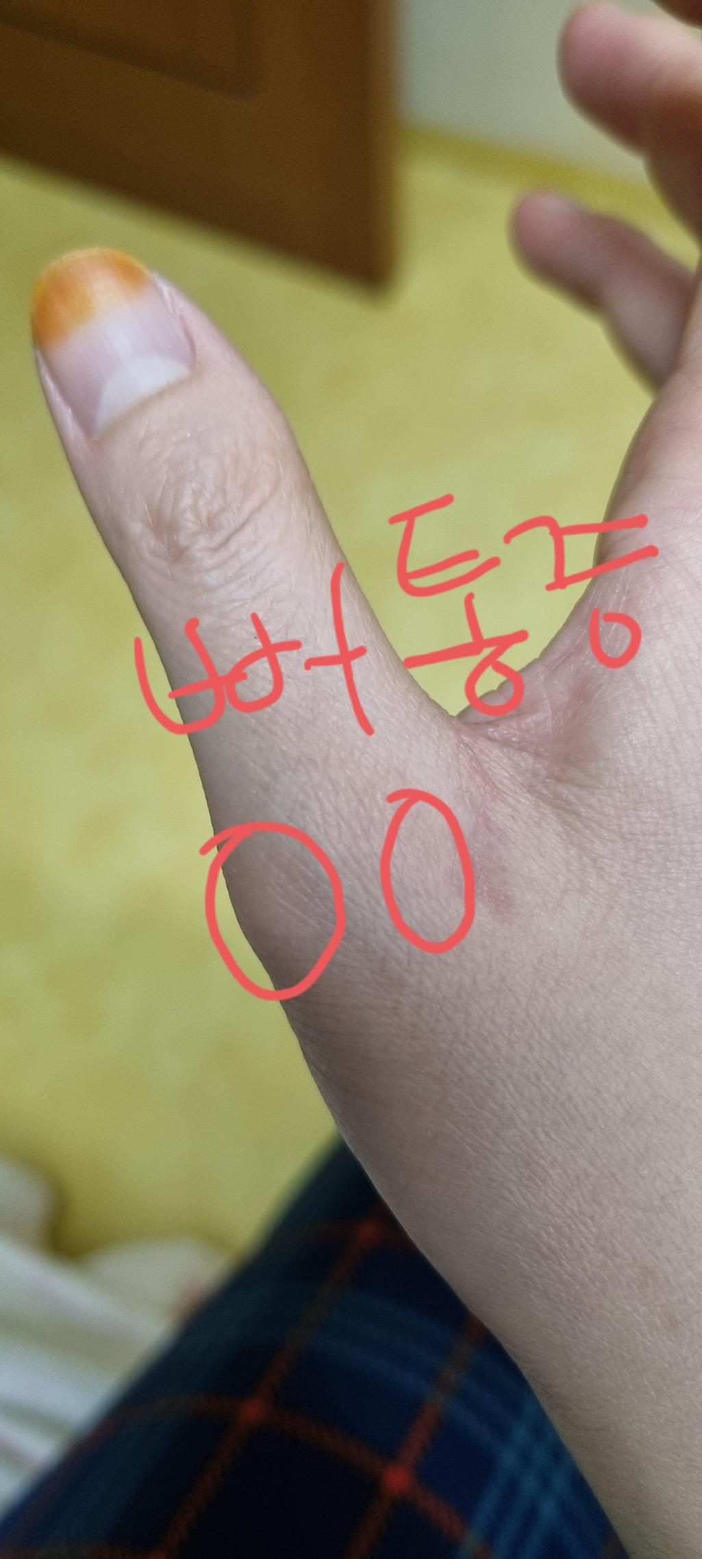 3번 째 사진