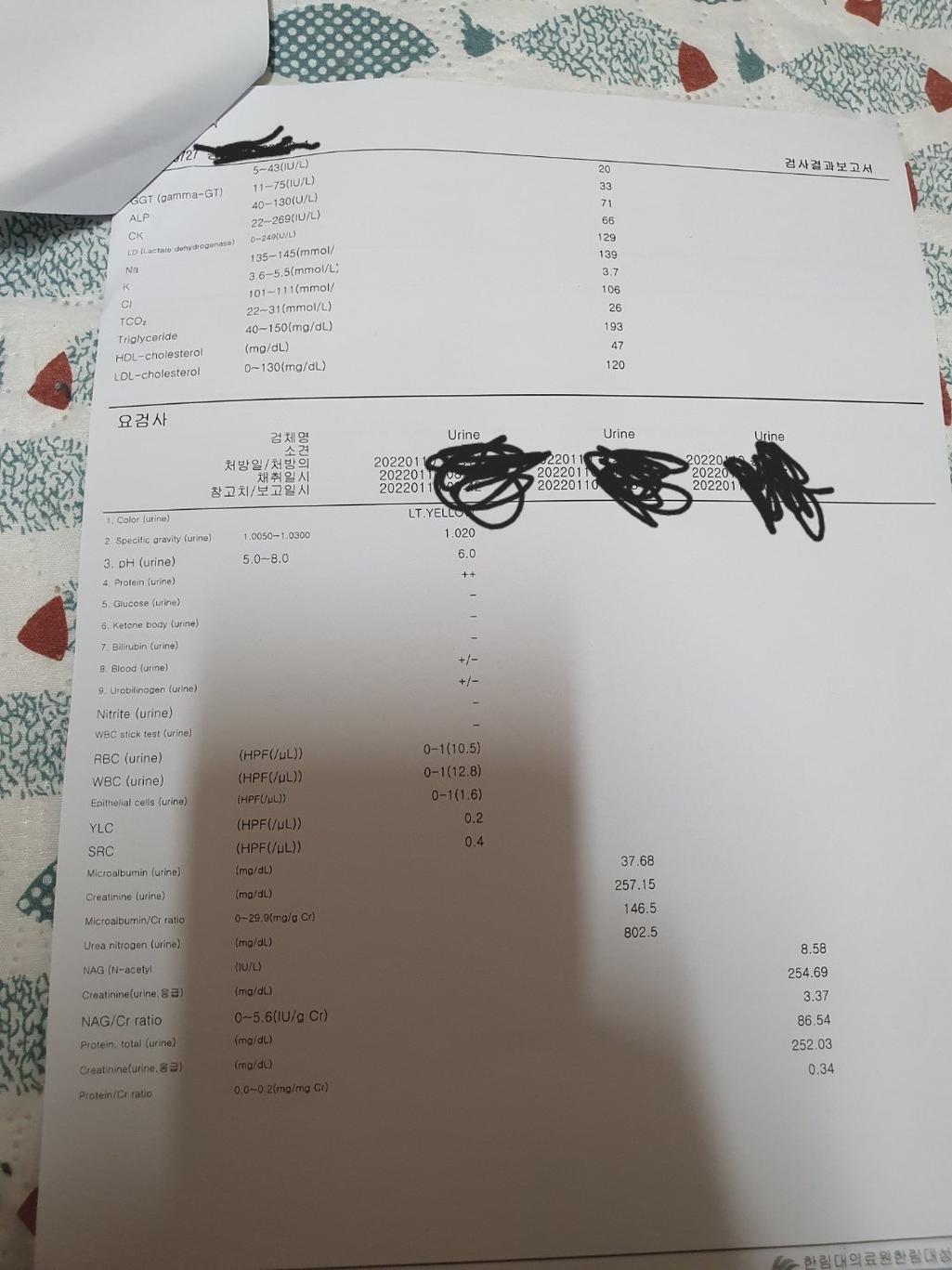 1번 째 사진