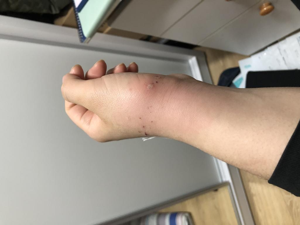 1번 째 사진