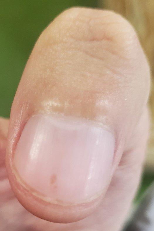 4번 째 사진