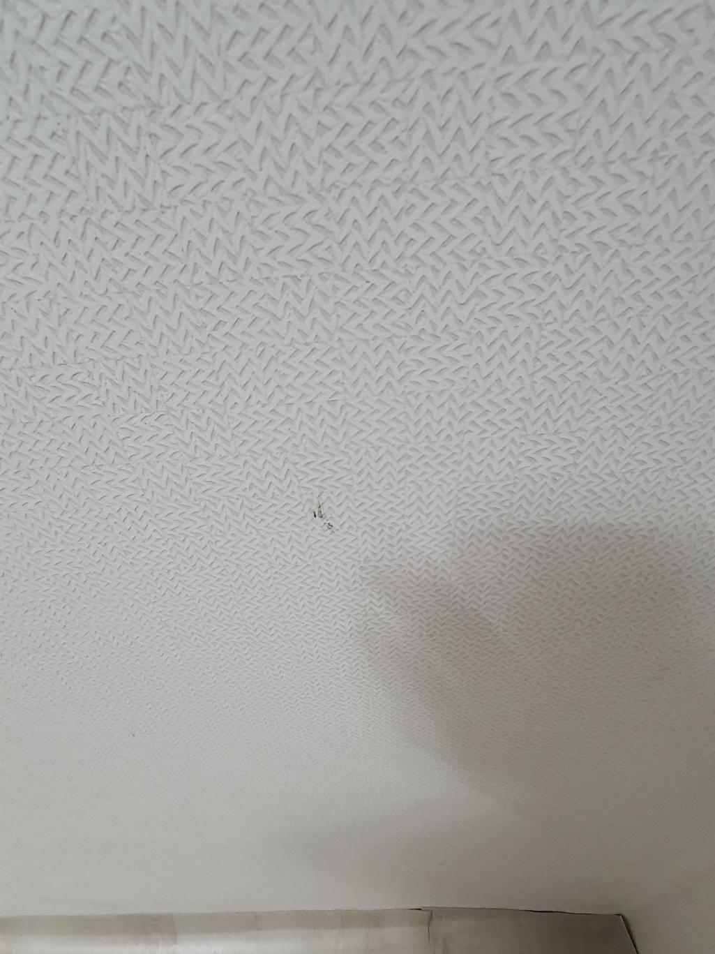 2번 째 사진