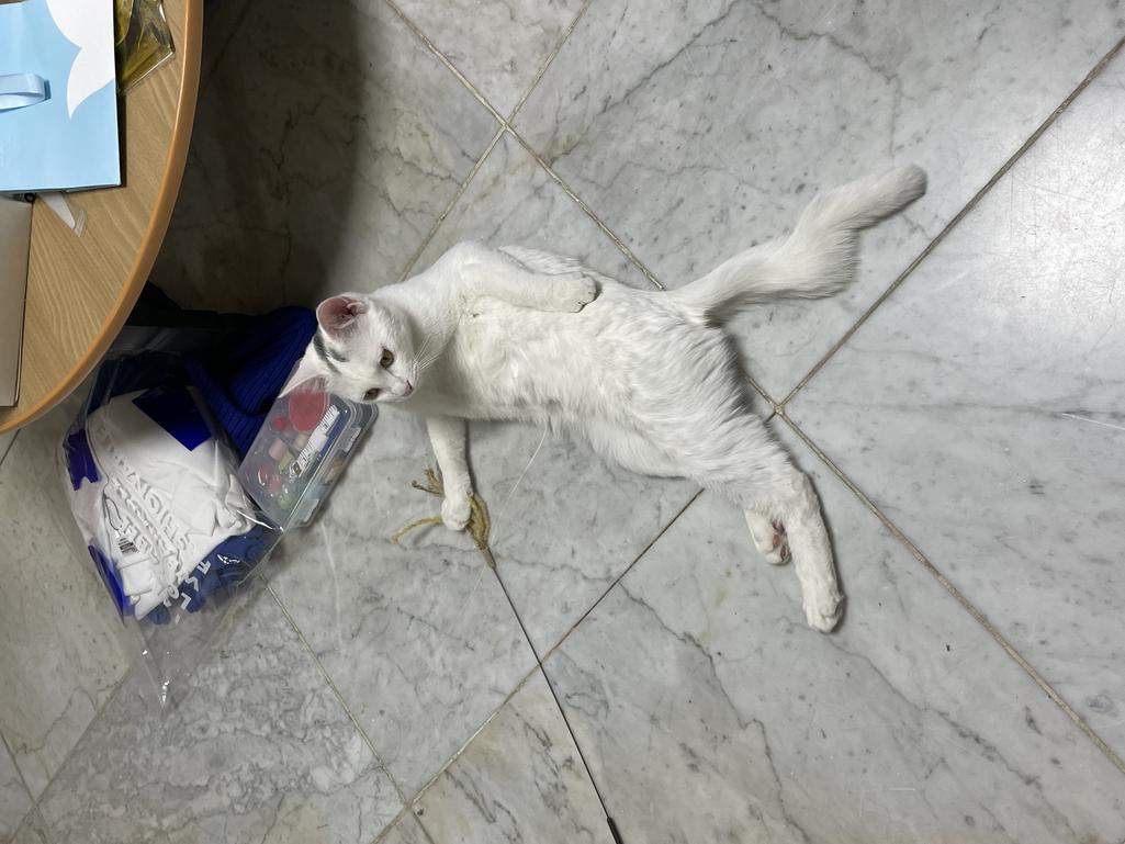 1번 째 사진