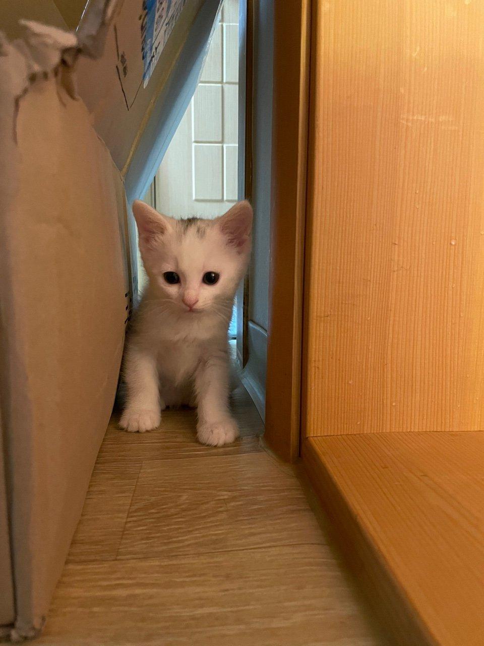 3번 째 사진