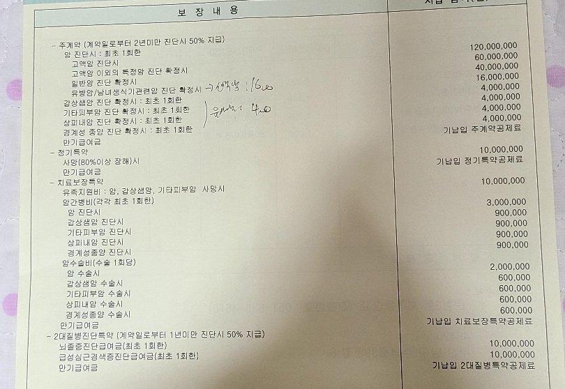 2번 째 사진