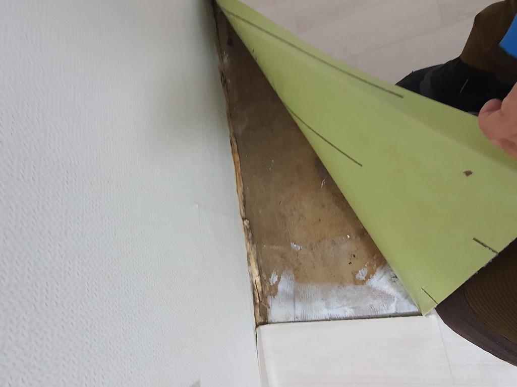 7번 째 사진