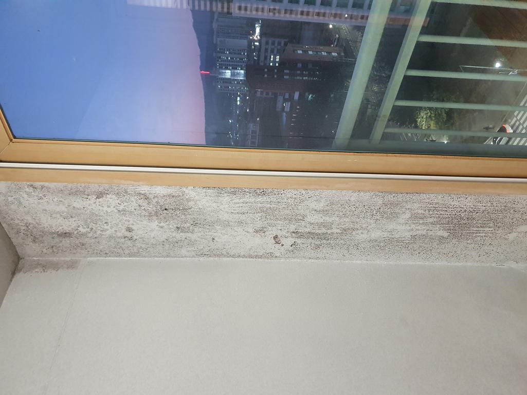 2번 째 사진