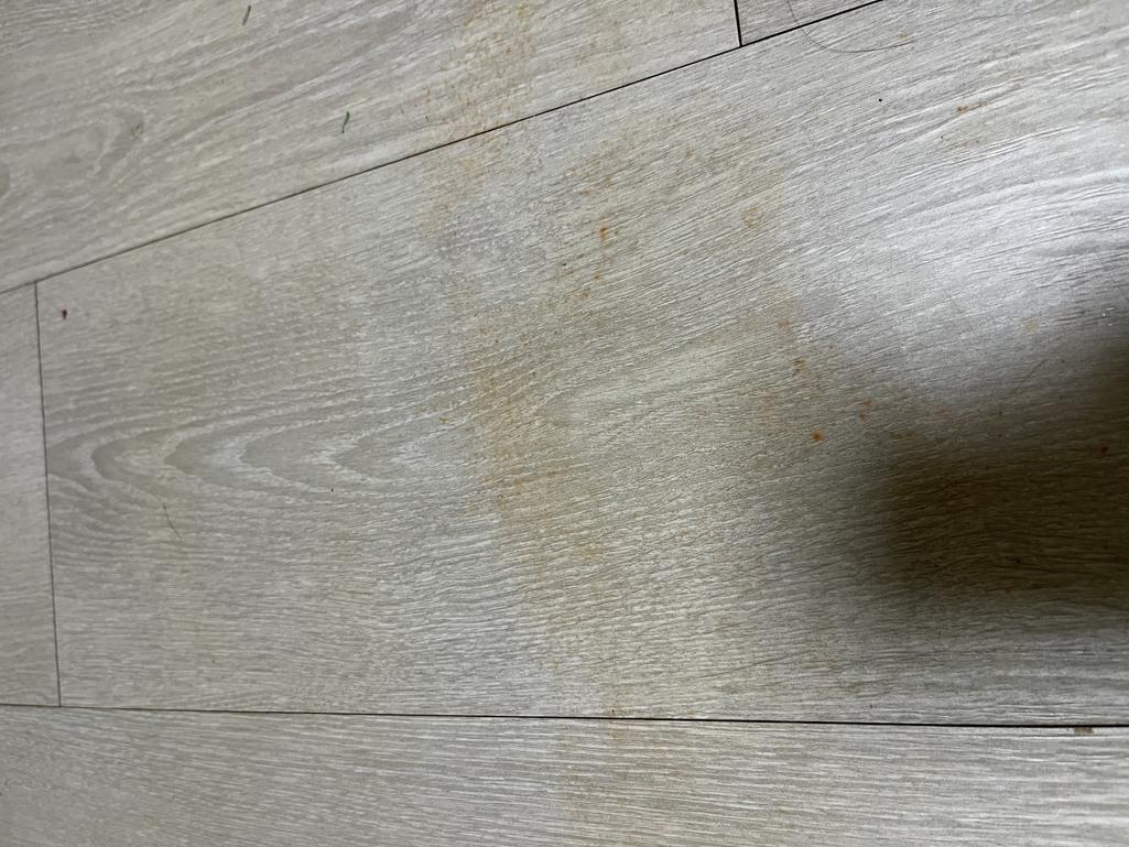 2번 째 사진