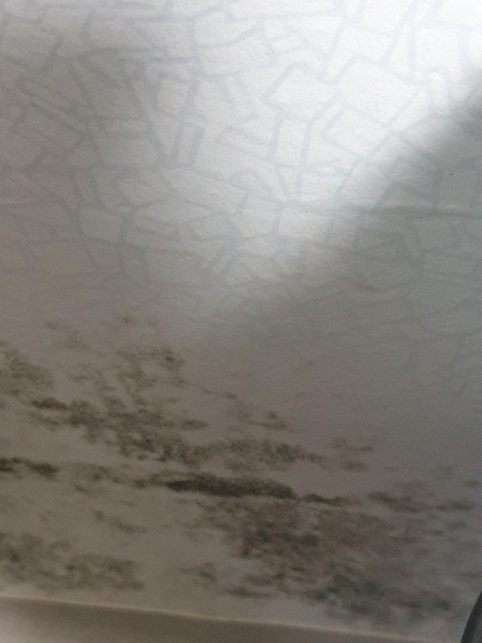 2번 째 사진