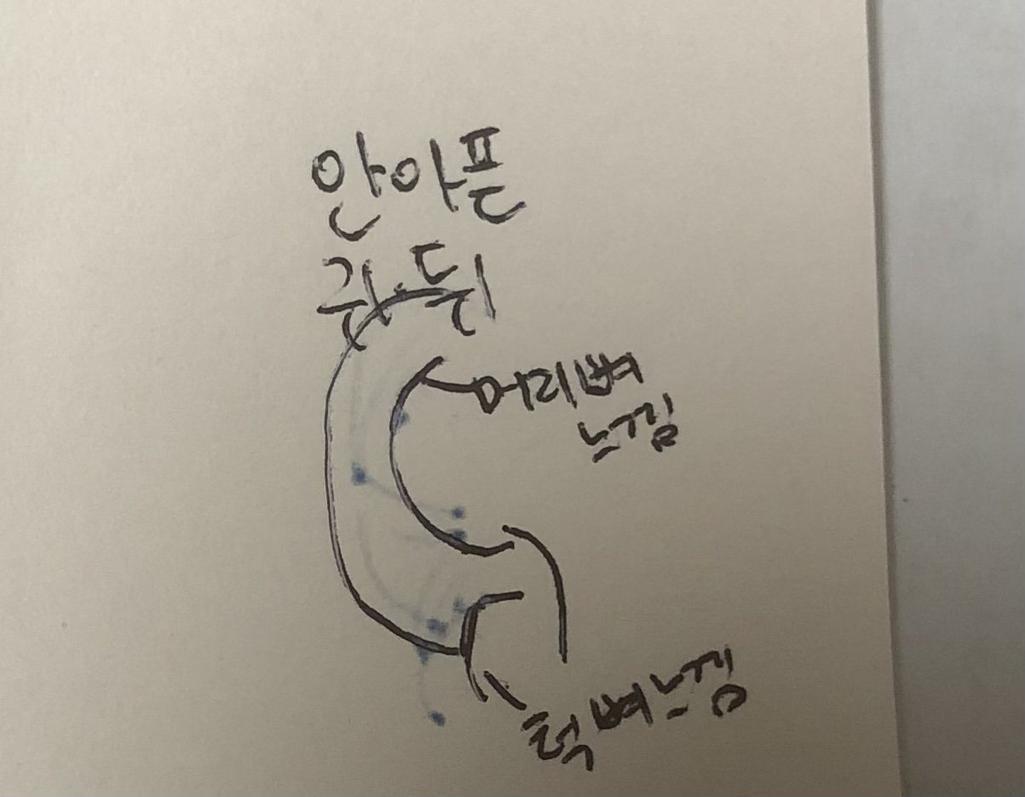 3번 째 사진