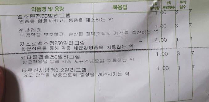 1번 째 사진