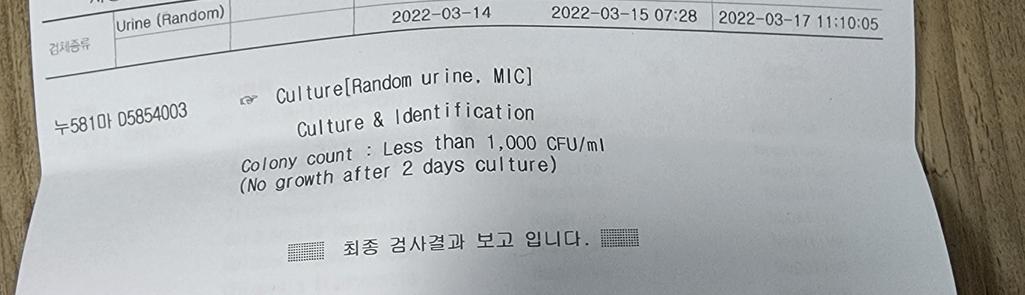 2번 째 사진