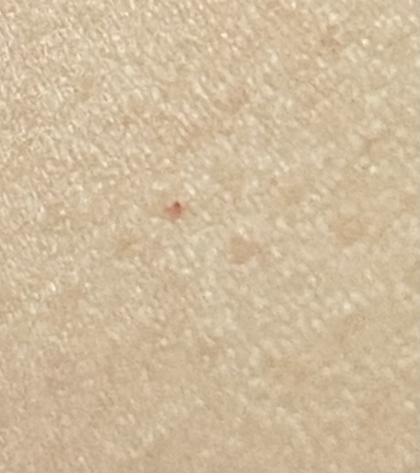 4번 째 사진