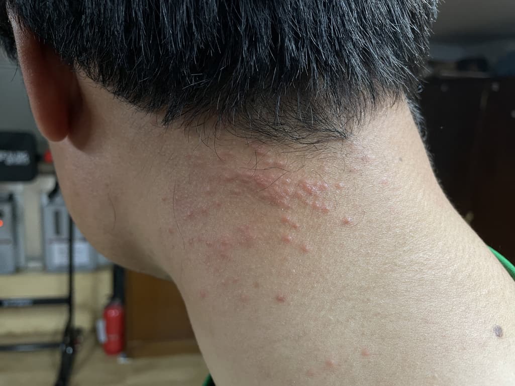 1번 째 사진