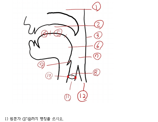 2번 째 사진