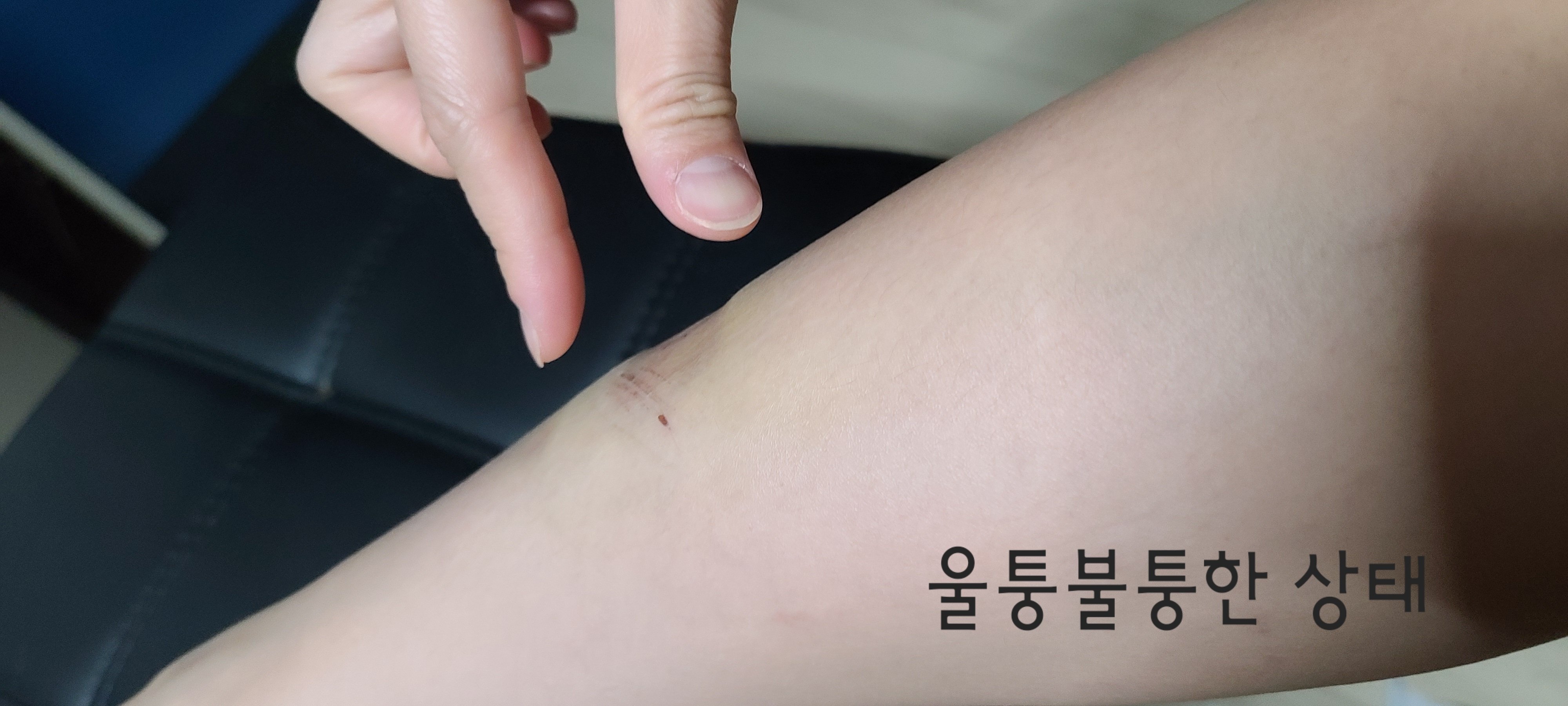 5번 째 사진