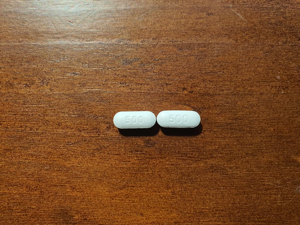3번 째 사진