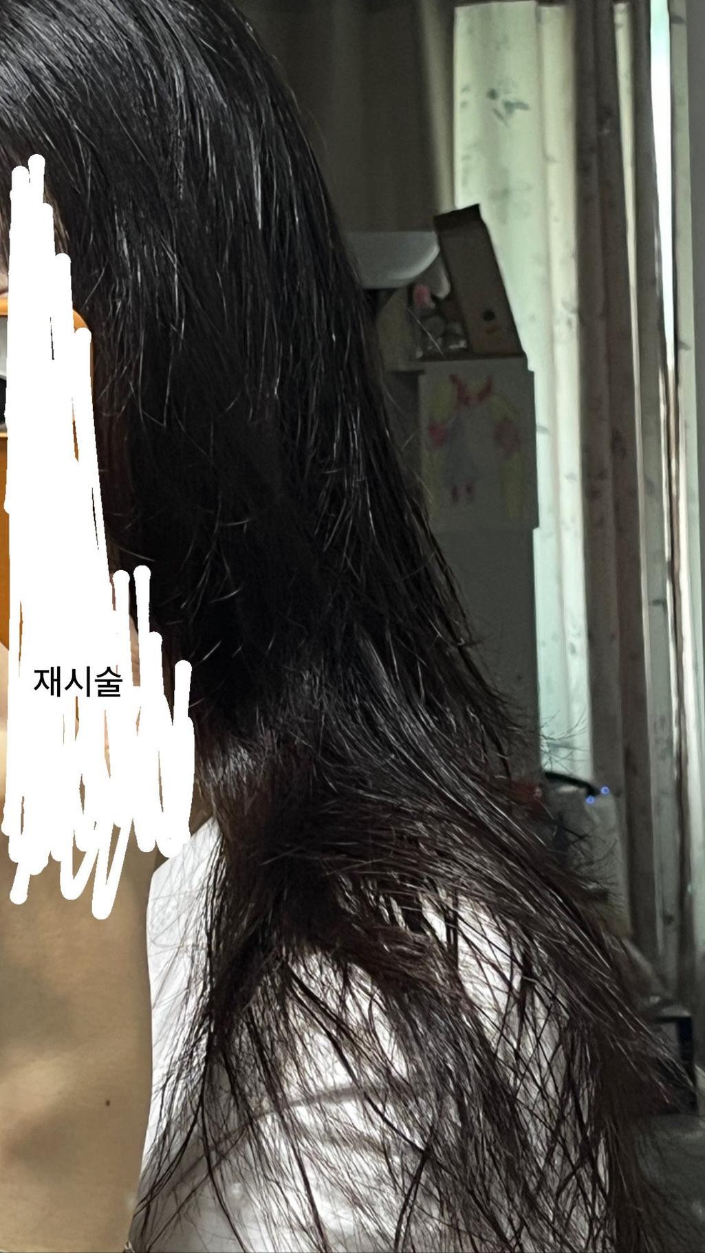 13번 째 사진