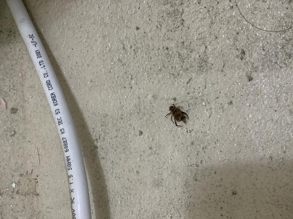 2번 째 사진