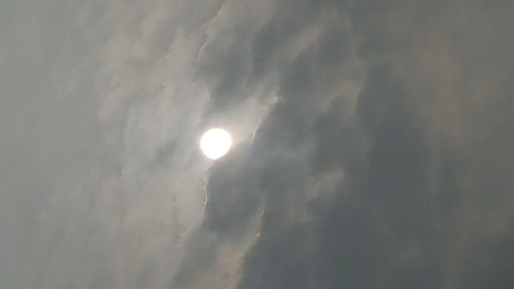 2번 째 사진