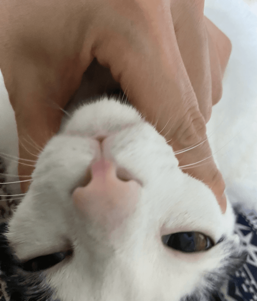2번 째 사진