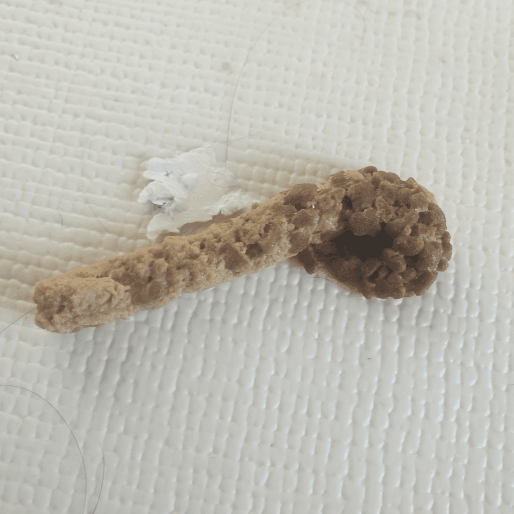 4번 째 사진