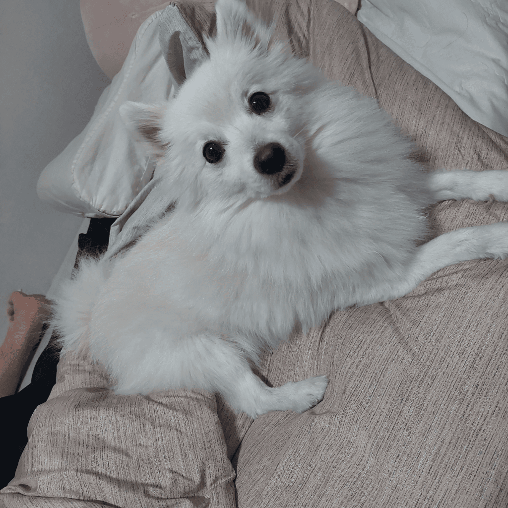 1번 째 사진