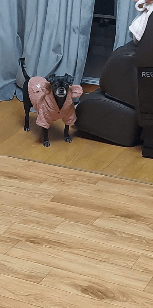 1번 째 사진