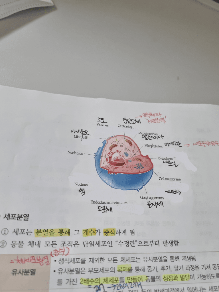 1번 째 사진